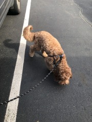 Lots of 'niffering happening round here...