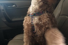 She tossed her mane and made her intentions quite clear!