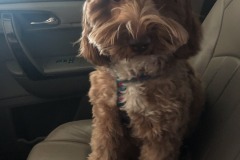 She tossed her mane and made her intentions quite clear!
