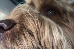 Extreme close-up!