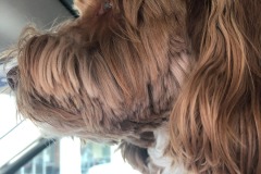 Extreme close-up!