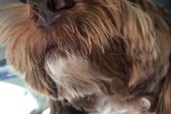 Extreme close-up!