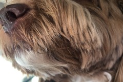 Extreme close-up!
