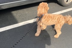 Lots of 'niffering happening round here...