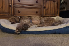 I'm sleeping here!