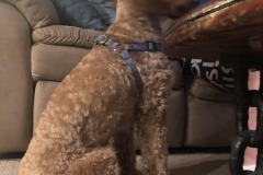 You know what she wants.