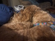 A bit of cuddle time!