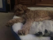 Stretching out!