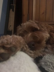 So sleepy...