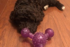 Toys to ZZZZZZZ....
