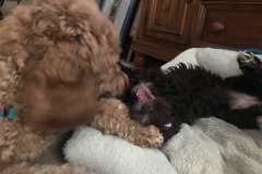 Oh, you want some of this?