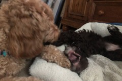 Oh, you want some of this?