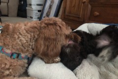 Oh, you want some of this?