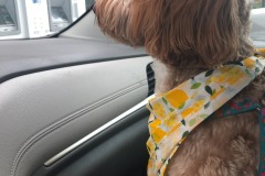 Mocha gets the boot!