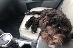 Ooooh, comfy!