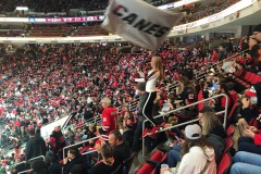 Waving the flag!
