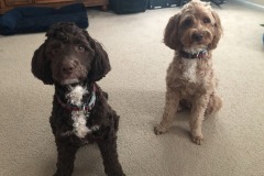 There's only two reasons these two are *THIS* patient...