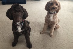 There's only two reasons these two are *THIS* patient...