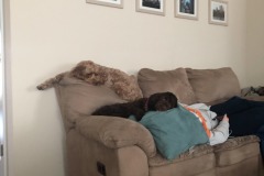 It's been a hard day's night...