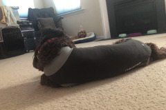 Now she's mugging for attention...