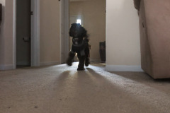 Wandering in from the bright light...