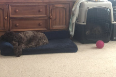 Sisters doing the snooze...