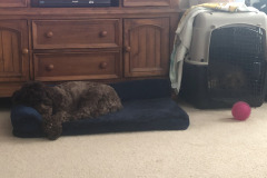 Sisters doing the snooze...