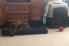 Sisters doing the snooze...