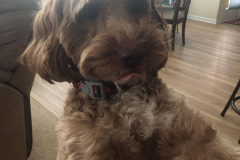 Attention!  Now!