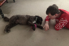 Mocha and Alex sharing some quality time...as long as he doesn't take her ball!
