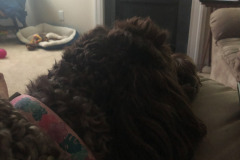 I think Mocha misses someone...