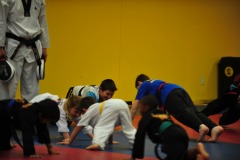 Hand sparringi in pushup position...