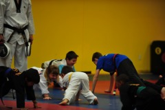 Hand sparringi in pushup position...