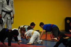 Hand sparringi in pushup position...