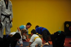 Hand sparringi in pushup position...