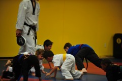Hand sparringi in pushup position...