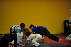 Hand sparringi in pushup position...