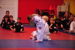 Katie demonstrates <b>Basic Form #1</b>...