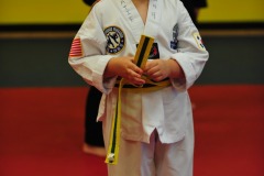 Katie wins promotion to high yellow belt!