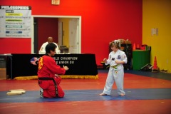 Practicing the board breaking kick...