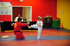 Practicing the board breaking kick...