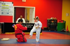 Practicing the board breaking kick...