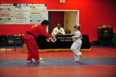 Practicing the board breaking kick...