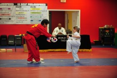 Practicing the board breaking kick...
