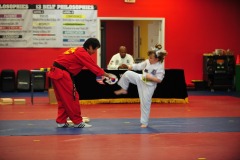 Practicing the board breaking kick...