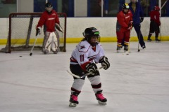 emw_20151101_141715_Cat5_Canes_0381