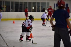 emw_20151108_145359_Cat5_Canes_0111