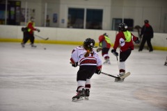 emw_20151108_150058_Cat5_Canes_0180
