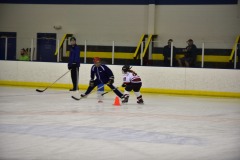 emw_20151108_151502_Cat5_Canes_0284