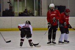 emw_20160214_131153_Cat5_Canes_0419